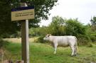 FerienhausNiederlande - : Landhuis de Linde