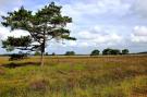 FerienhausNiederlande - : Landhuis de Linde