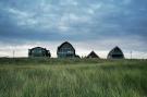 FerienhausNiederlande - : De ZeeParel Sea Crab