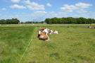 FerienhausNiederlande - : De Eik