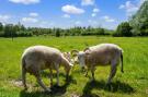 VakantiehuisNederland - : Natuurhuis Dichtbij