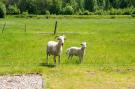 VakantiehuisNederland - : Natuurhuis Dichtbij