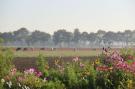 FerienhausNiederlande - : Het Biesbosch huisje