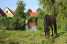 Holiday homeNetherlands - : Villavakantiepark IJsselhof 1  [24] 