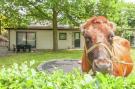 FerienhausNiederlande - : Zonnedauw