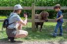 FerienhausNiederlande - : Recreatiepark Het Winkel 3