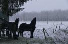 FerienhausNiederlande - : Meschermolen 8