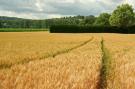 FerienhausNiederlande - : Hoeve in gunne winkel 1 en 2