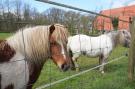 FerienhausNiederlande - : Lyts Sypenstien II