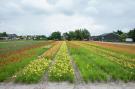 FerienhausNiederlande - : Zeearend Boulevard