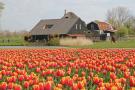 FerienhausNiederlande - : Romantiek aan het Meer I