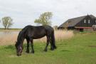 FerienhausNiederlande - : Romantiek aan het Meer I