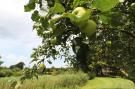 FerienhausNiederlande - : Landgoed de Klimberg