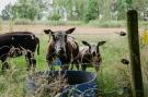 VakantiehuisNederland - : Dorpswoning De Pastorie