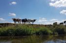 VakantiehuisNederland - : Lodgepark 't Vechtdal