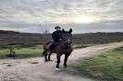 FerienhausNiederlande - : Huisje op de Hei