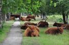 FerienhausNiederlande - : Landrijk de Reesprong 2