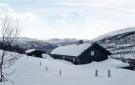 Holiday homeNorway - : Hemsedal