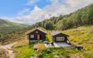 FerienhausNoorwegen - : Hemsedal