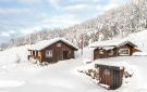 Holiday homeNorway - : Hemsedal