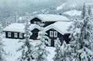 Holiday homeNorway - : 62900 KVITFJELL