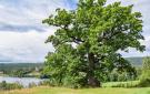 FerienhausNoorwegen - : Bjertnes Turistgård