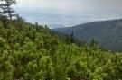 FerienhausPolen - : Villa with Mountain View