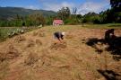 VakantiehuisPortugal - : Quinta das Colmeias Cottage