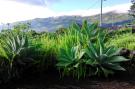 Holiday homePortugal - : Holiday home in Praínha - Pico - Azores / Casa da 