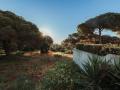 Holiday homePortugal - : 444786