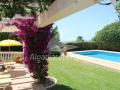 Holiday homePortugal - : 176219