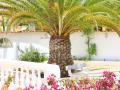 Holiday homePortugal - : 220692