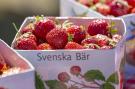 FerienhausSchweden - : 