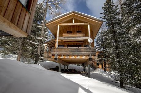 vakantiehuis Alpenpark Turrach 39 in Turracherhöhe