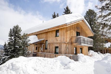 vakantiehuis Alpenpark Turrach 18 in Turracherhöhe