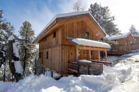 vakantiehuis Alpenpark Turrach 30 in Turracherhöhe