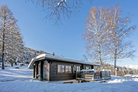 Ferienhaus Österreich - : 