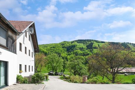 Ferienhaus Österreich - : 