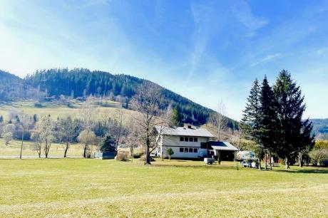 Ferienhaus Österreich - : 