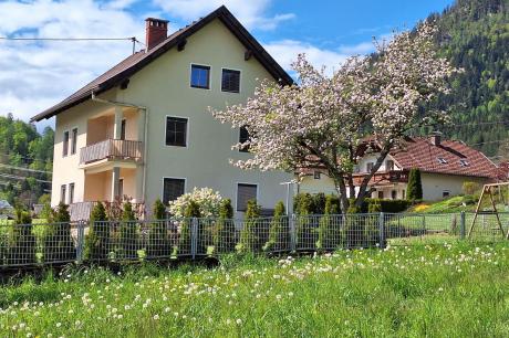 Ferienhaus Österreich - : 