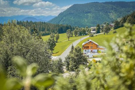 Ferienhaus Österreich - : 