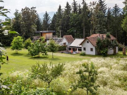 Ferienhaus Österreich - : 