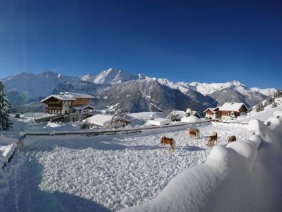 Ferienhaus Österreich - : 