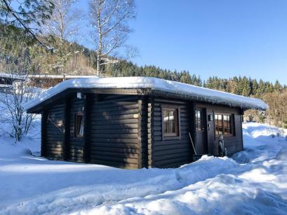 Ferienhaus Österreich - : 