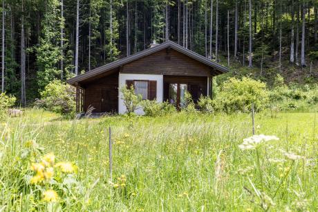 Ferienhaus Österreich - : 