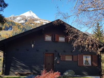 Ferienhaus Österreich - : 