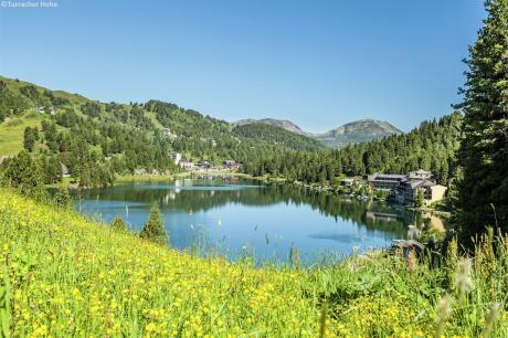 Ferienhaus Österreich - : 