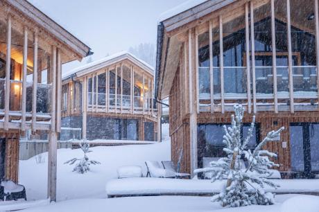 Ferienhaus Österreich - : 