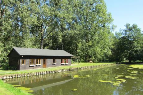 Ferienhaus Belgien - : 