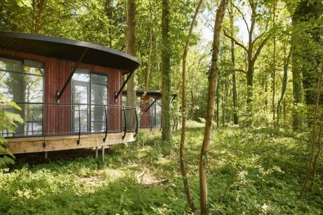 Holiday home Belgium - : 